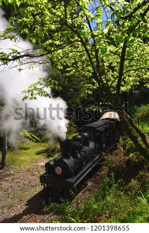 Cherry trees and woods, white steam on the black train running on the winding tracks.