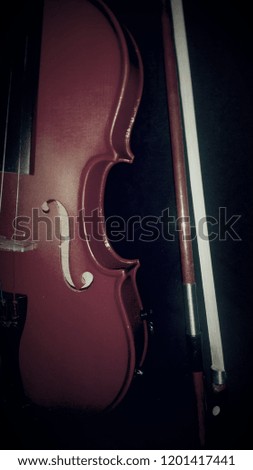 violin in the dark