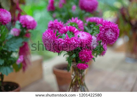 autumn bouquet with asters. selective focus. 