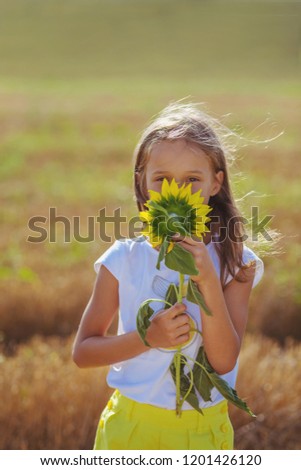 Young girl smelling sunflower in green and hay meadow. Sunlight in hair, long windblown hair. Child is dressed in blue shirt and yellow shorts. Background is blurred. Sunflower hides face, only eyes.