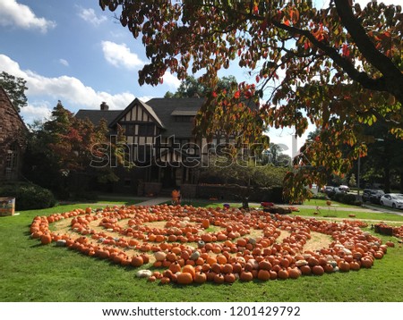 Pumpkin And Hallowed, Montclair, Nj, Usa 