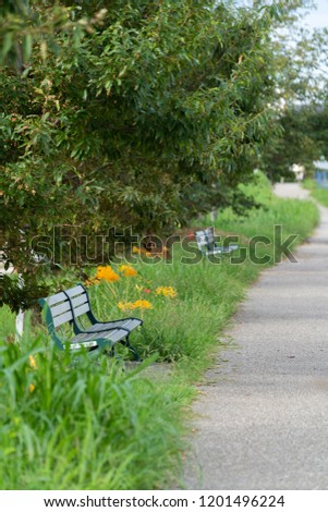 Picture of the boardwalk bench
