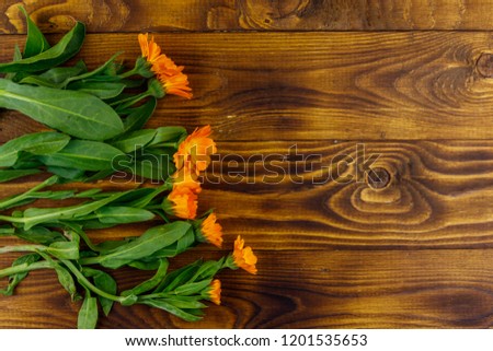 Calendula flowers on the wooden background. Top view, copy space