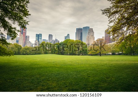 Central park at rainy day, New York City