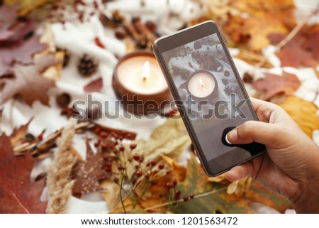 Hand holding phone and taking photo of stylish autumn flat lay of fall leaves, candle, berries, nuts, acorns,cotton on soft white background. Modern mobile photography. Instagram blogging