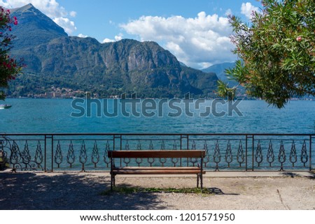 Bench in the Park near Lake