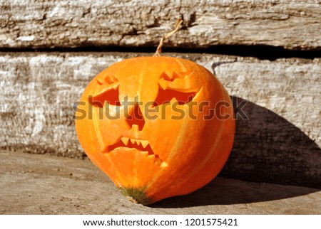 Halloween pumpkin on old wooden wall gray surface background