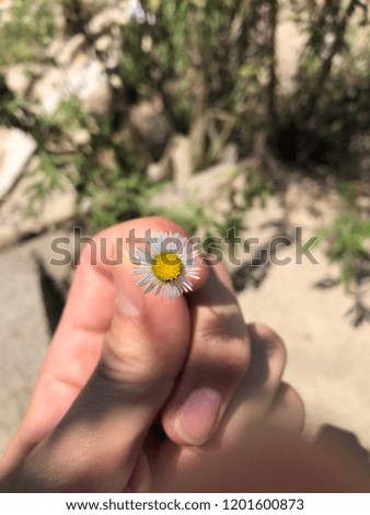 Picture of grass in hand