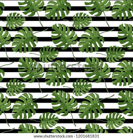 Leaves plant  monstera seamless pattern on a striped balck and white background .Endless texture for tropic,exotic design.
