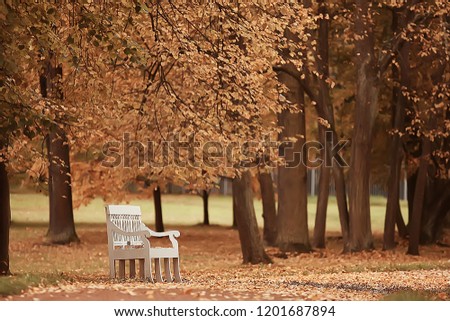 landscape bench in autumn park  October landscape in yellow park, autumn background
