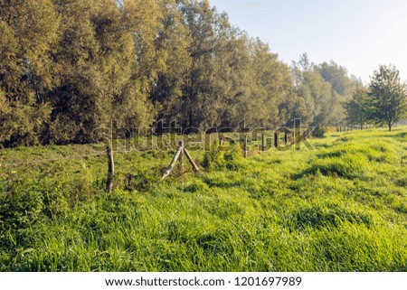 Picturesque landscape of a dike along the Dutch river Donge in Noord Brabant with a long fence diagonally in the picture. It is early in the morning of a sunny day in the beginning of the fall season.
