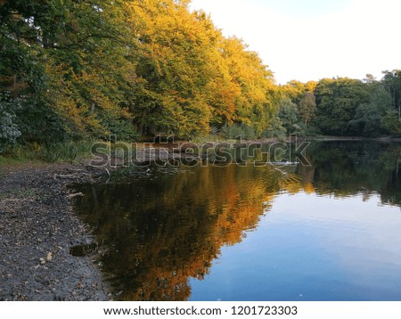 Lake autumn colors reflection