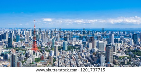 Tokyo, Japan:  The panoramic view of the Tokyo metropolis