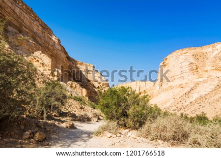 Makhtesh Ramon crater mountains park view with trekking path - geological site in Negev desert (Mitzpe Ramon, Israel)