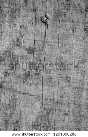 white old wood textures background