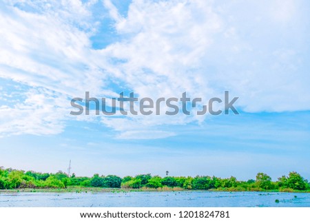 View of beautiful clouds sky with meadow green tree and plain landscape use for wallpaper and backdrop of 
 summer poster or desktop screen saver of computer.