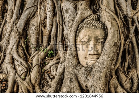 Wat Mahathat, Historic City of Ayutthaya - UNESCO World Heritage Centre in Thailand