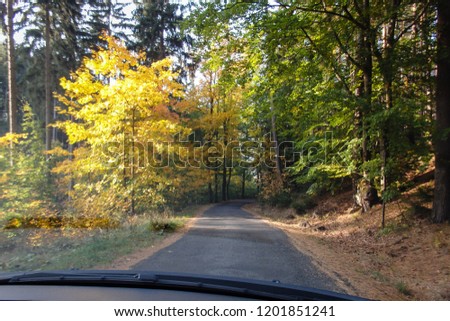 Autumn in the mountains - beautiful, colorful view of the road and forest with blue sky and white clouds in the background, trees with yellow, golden, brown and red leaves and green needles.