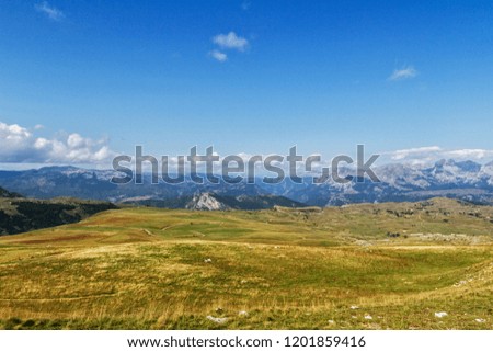 Beautiful landscape in Montenegro with fresh grass and beautiful peaks. Durmitor National Park in Montenegro part of Dinaric Alps. Durmitor Park, UNESCO World Heritage Site since 1980.
