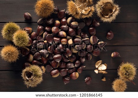Sweet Chestnut still life. Castanea  sativa Edible chestnut. Top view