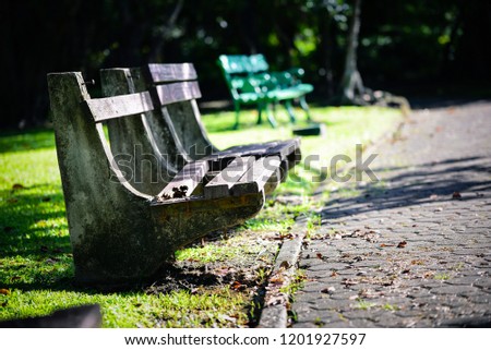 Wooden seat in a green park in daytime lighting with sunlight. Afternoon summer park with many big trees. 2 wooden chair in a big park