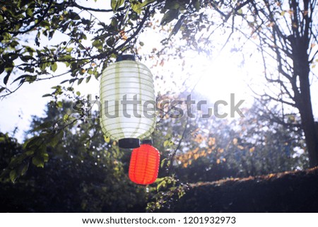 Beautiful colorful lanterns hanging on the trees with sunlight on a sunny day autumn