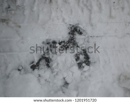 Image of a horse in the snow
