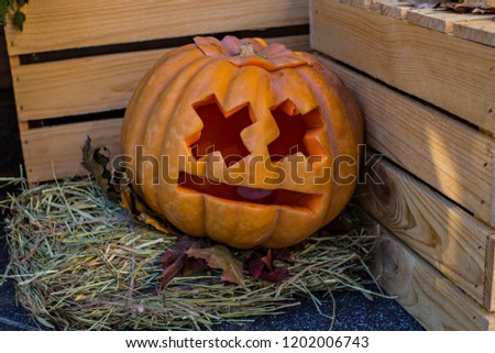Helloween pumpkin decoration. Helloween party. Helloween celebration attributes.