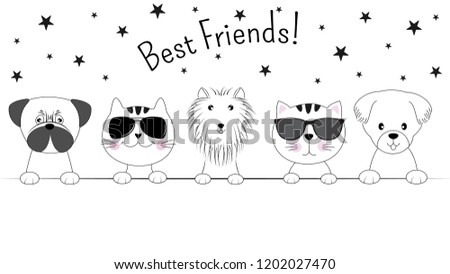 Face cats and dogs best friends isolated on white background. Contour silhouette. Funny baby puppy and kitty. Greeting card.