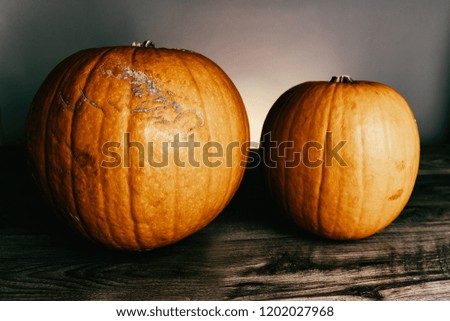 Two pumpkins on top of a wooden table against a seamless grey background
