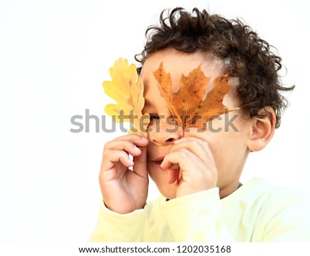 little boy having fun with autumn leaves  stock photo