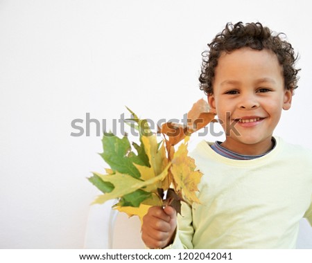 autumn leaves with little boy having fun  stock photo
