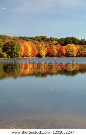 Colorful leaves on the lake