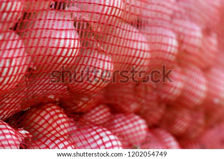 packed Spanish onions for british export, selective focus blurred background to ad copy space 