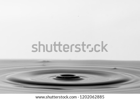 Black and white water droplets and ripples isolated on a clean background