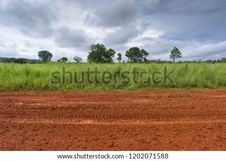 Dirt roadside view with the meadow Royalty-Free Stock Photo #1202071588