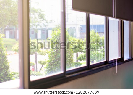 Green view beside window in office, Flare light through the window in the morning, relaxing time, Quiet time, frame of window for your text, Light sun shine from window