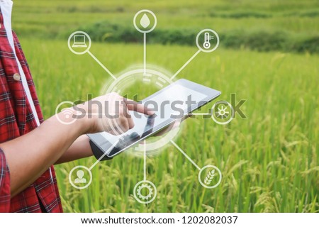Smart farming, using modern technologies in agriculture. Man agronomist farmer with digital tablet computer in field using apps and internet of things(IOT) in production and agricultural research Royalty-Free Stock Photo #1202082037