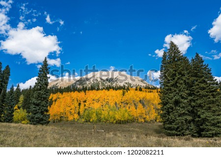 Fall colours around Paradise Divide Crested Butte Colorado USA