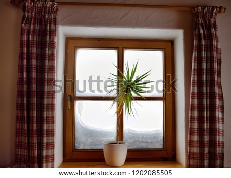 Cozy view from the window of the Alpine Chalet on a snowy winter day. View from the inside. Window with plaid curtains and a flower.