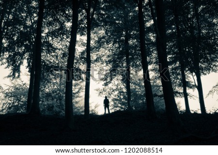 A hooded figure silhouetted on a wooded hill. With a vintage, grunge duo tone edit