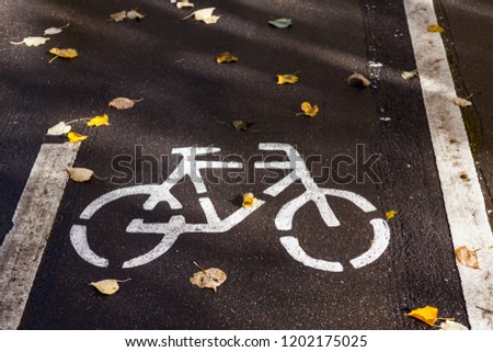 Lane for cycling on asphalt road in autumn