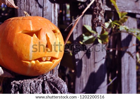 Halloween pumpkin on old wooden gray fence surface background