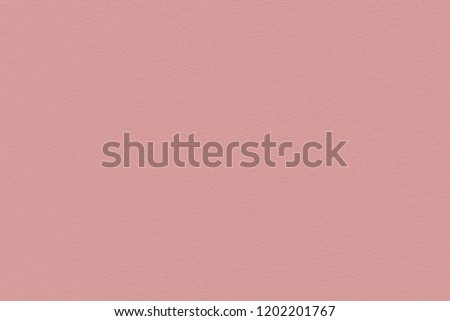 Texture of colored stucco wall. Fashionable color of spring-summer 2019 season: Pressed Rose Pantone. Modern background or mock up with space for text