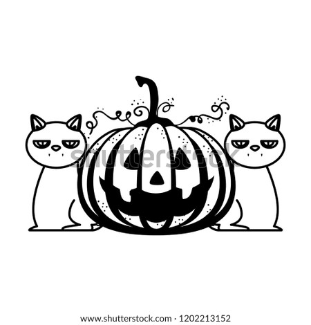 happy halloween pumpkin with black cats