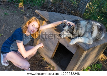 Beautiful young lady with her adorable cute dog of siberian husky breed in summer forest at sunset.  Happy teenage girl and pet. Authentic lifestyle moments