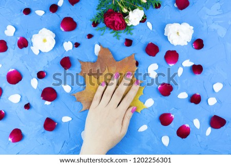 Beauty gentle hands with flowers and flower petals on blue background, hands with beautiful bright makeup and rose petals, Valentine's day