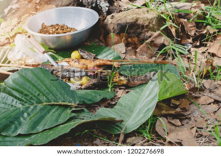 Food on the ground of the picnic or camp fire place - natural background 