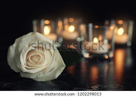 White rose and blurred burning candles on table in darkness, space for text. Funeral symbol Royalty-Free Stock Photo #1202298013