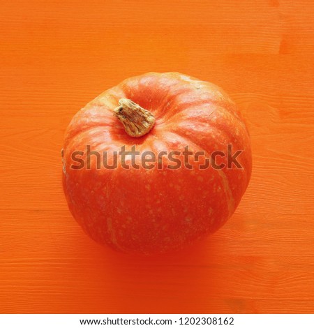 Halloween holiday minimal top view image of pumpkin over orange wooden background
